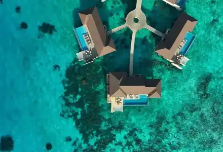 Avani+ Fares Maldives Resort - 70