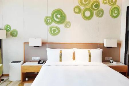 Holiday Inn Chengdu Qinhuang by IHG - 53