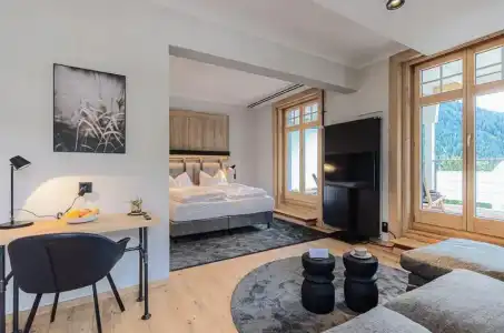 ALPINE INN Davos - 48