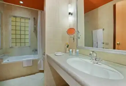 Hilton Alexandria Green Plaza - 57