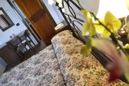 Agriturismo Il Casolare di Bucciano - 4