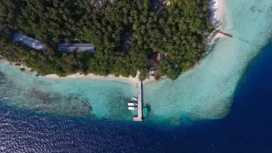 Biyadhoo Island Resort - 23