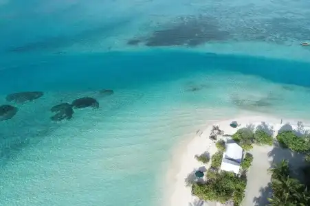 Araamus Maldives - 22