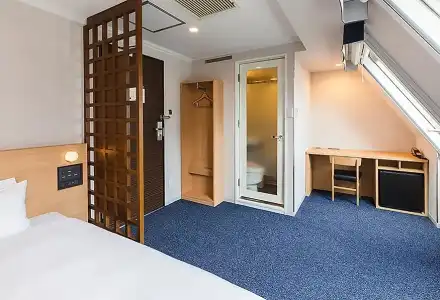Sotetsu Fresa Inn Tokyo-Akasaka - 42