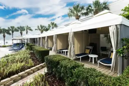 Clearwater Beach Marriott Resort on Sand Key - 20