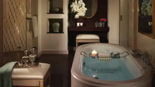 Four Seasons des Bergues Geneva - 75
