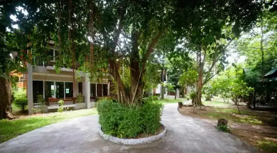 Sand Sea Resort - 84