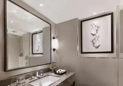 Hyatt Regency London The Churchill - 70