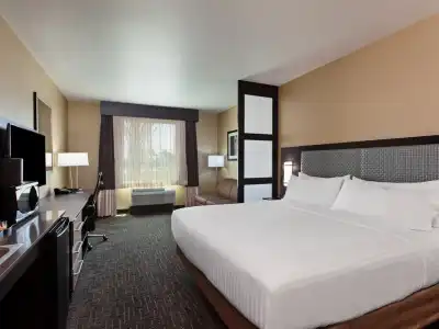 Holiday Inn Express & Suites Anaheim Resort Area by IHG - 67