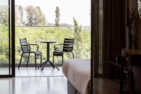 Aliathon Ionian - 20