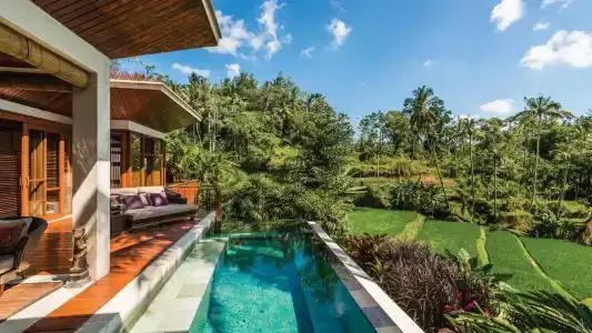 Four Seasons Resort Bali at Sayan - 44
