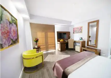 Phoenicia Comfort - 25