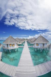 Angaga Island Resort and Spa - 14