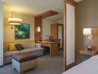 Hyatt Place Houston/Galleria - 46