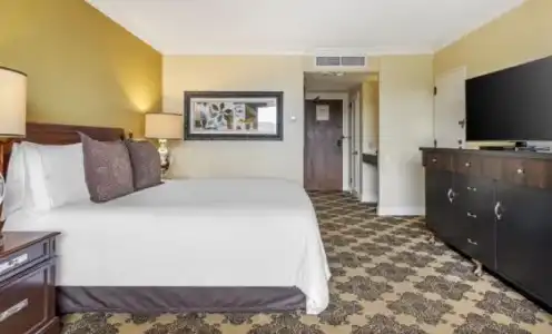 Omni Houston - 55