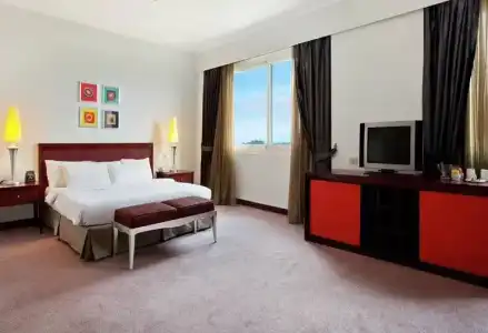 Hilton Alexandria Green Plaza - 72