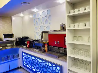 Sahiner - 10