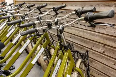 Dutch Design Vondelpark - 14