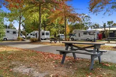 Christchurch Top 10 Holiday Park - 173