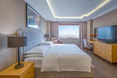 Hyatt Regency Dubai - 83