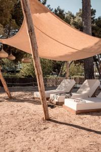 Cook’s Club Palma Beach +16 - 17
