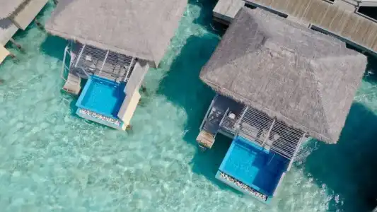 You & Me by Cocoon - 71