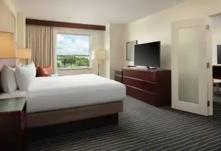 Hilton Orlando - 42