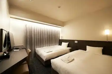 Sotetsu Fresa Inn Ochanomizu Jimbocho - 53