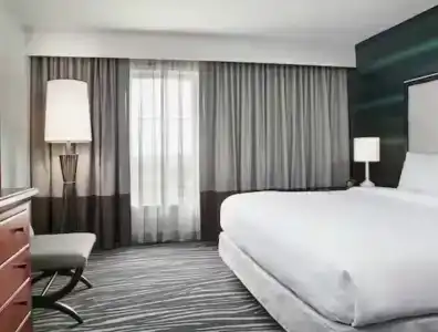 Embassy Suites by Hilton Orlando Airport - 31