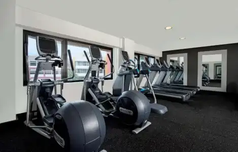 Hilton Darwin - 27