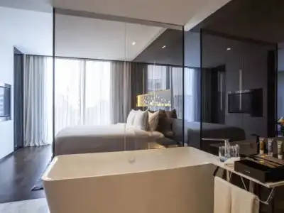 Novotel Singapore on Stevens - 62