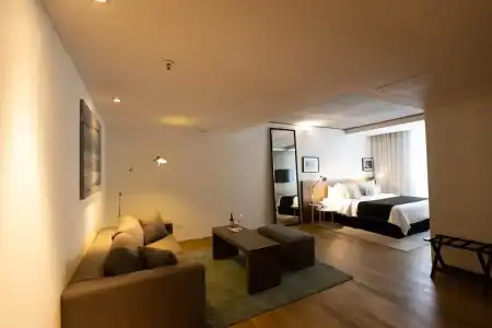 Anselmo Buenos Aires Curio Collection By Hilton - 58