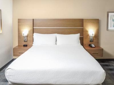 Holiday Inn Express & Suites HOUSTON WESTCHASE - WESTHEIMER by IHG - 62