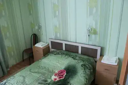 Gostinitsa Birsk - 149