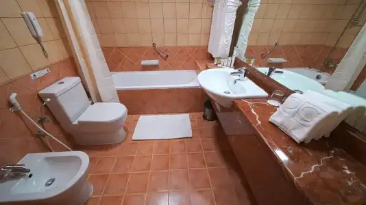 Rose Garden Apartments - Bur Dubai - 54