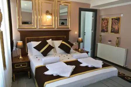 Emirhan Guesthouse & Suites - 100