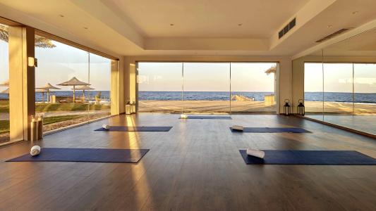 Steigenberger Coraya Beach - Adults Friendly 16 Years Plus - 36