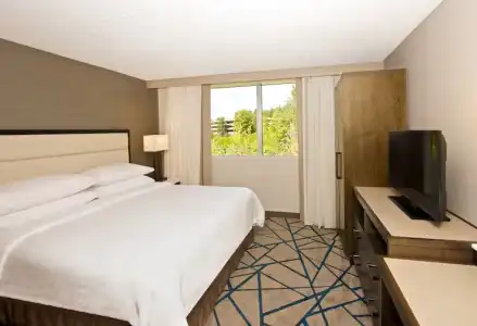 Embassy Suites by Hilton Seattle Bellevue - 34