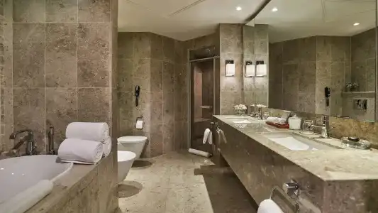 Hyatt Regency - 85