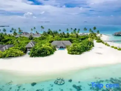 Sun Siyam Iru Veli - 24 Hours All-Inclusive with Free Transfers - 34