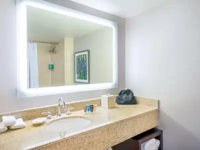 Crowne Plaza NEW ORLEANS FRENCH QTR - ASTOR by IHG - 63