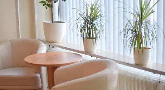 Mondial Comfort - Frankfurt City Centre - 12