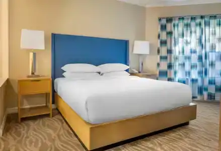 Hilton Grand Vacations Club SeaWorld® - 73