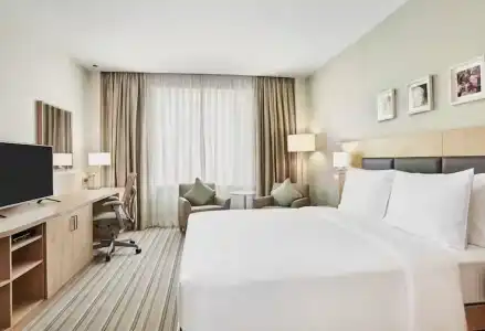Hilton Garden Inn Dubai, Mall Avenue - 48