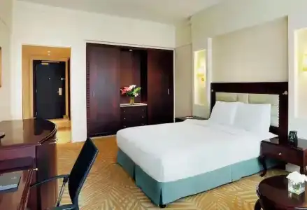 Hilton Alexandria Green Plaza - 69