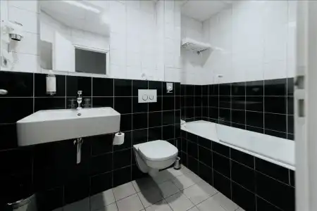 Hôtel Albert 1er - 59