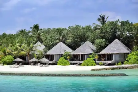 Gangehi Island Resort - 0