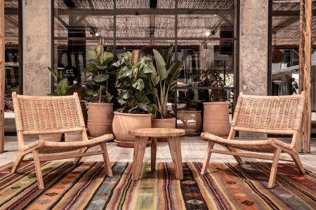 Cook’s Club Palma Beach +16 - 22