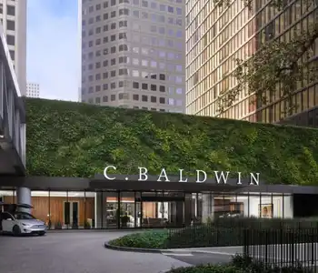 C. Baldwin, Curio Collection by Hilton - 0