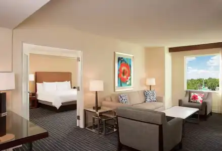 Hilton Orlando - 43